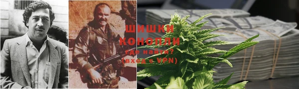 стафф Бородино