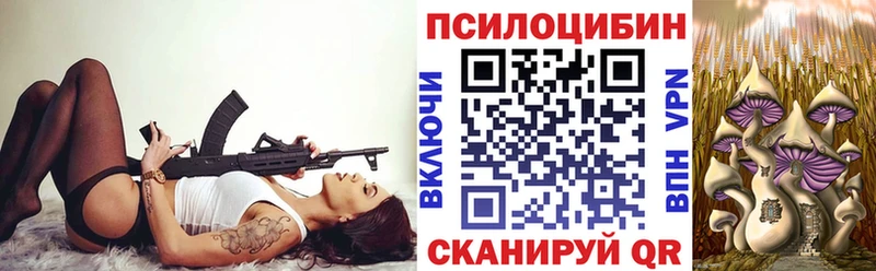 Галлюциногенные грибы мицелий  купить наркотик  Северск 